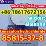 CAS85815-37-8 Limazafon hydrochloride Bulk supply WHATSAPP: +8618617672156 - Sell advertisement in Berlin