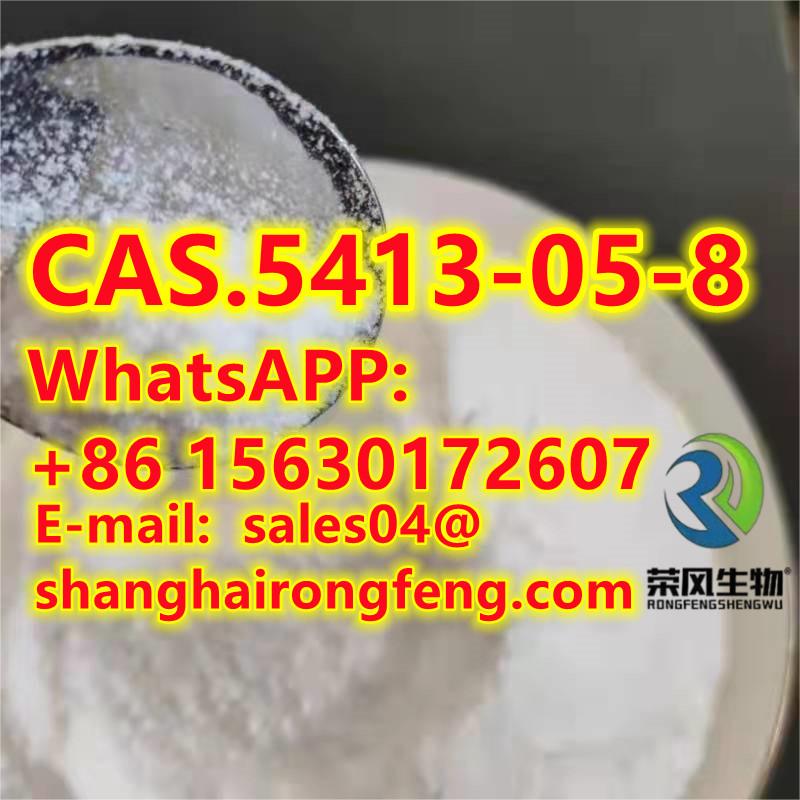 CAS.5413-05-8 Ethyl 3-oxo-4-phenylbutanoate - photo