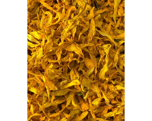 Verkauf von “Sonnenblumen” in großen Mengen vom Hersteller zu den besten Preisen. - photo