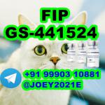  GS-441524 cat Fip Feline Infectious Peritonitis - Sell advertisement in Warszawa