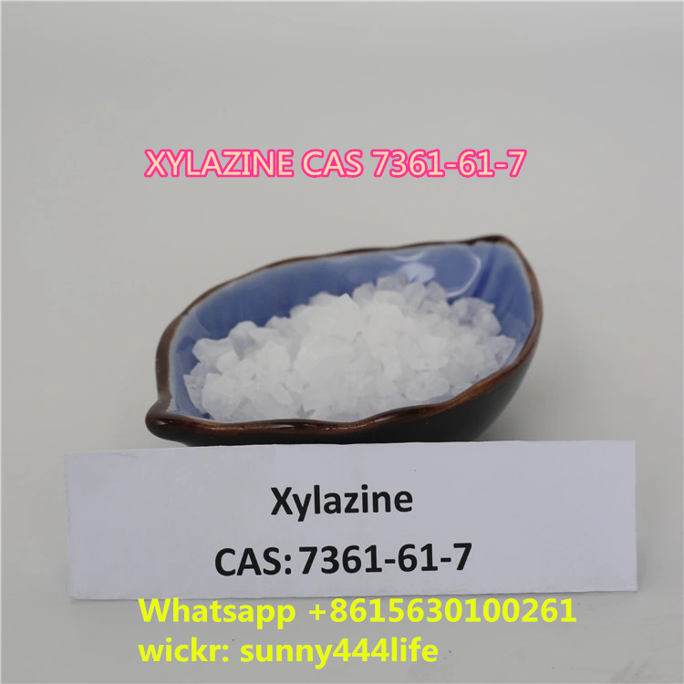 XYLAZINE CAS 7361-61-7 XYLAZINE HCL cas23076-35-9 crystal powder - photo