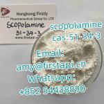 Scopolamine    CAS No.:51-34-3  Whatsapp:+852 54438890 - Sell advertisement in Patras