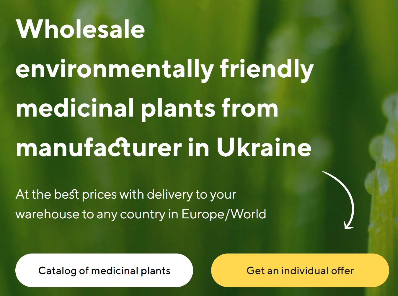 Prodej léčivých rostlin ve velkém od výrobce za nejlepší ceny - photo