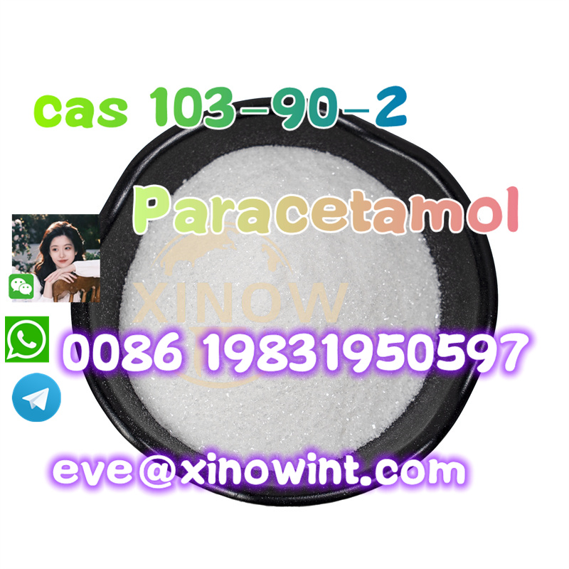Paracetamol Powder CAS 103-90-2 - photo