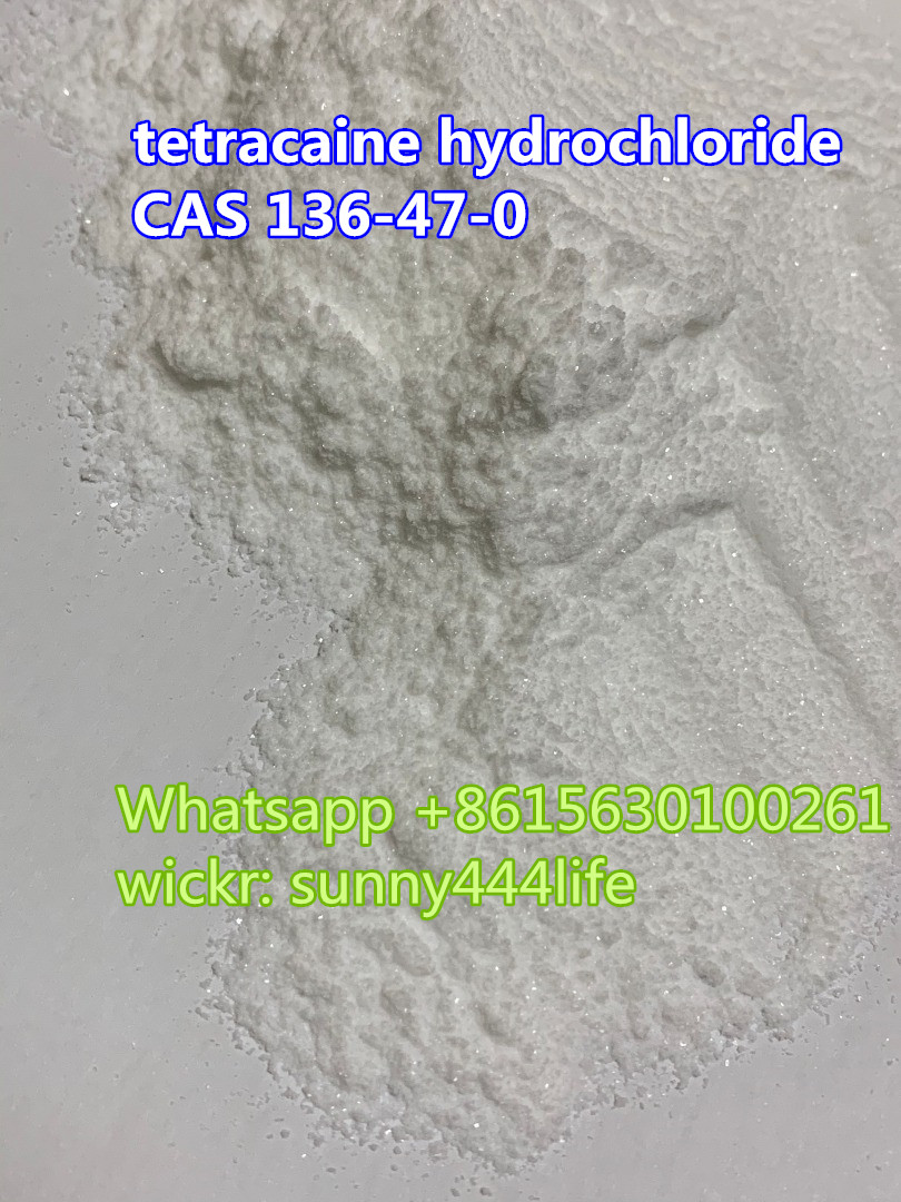 Tetracaine hydrochloride CAS 136-47-0 crystal powder chemical  - photo