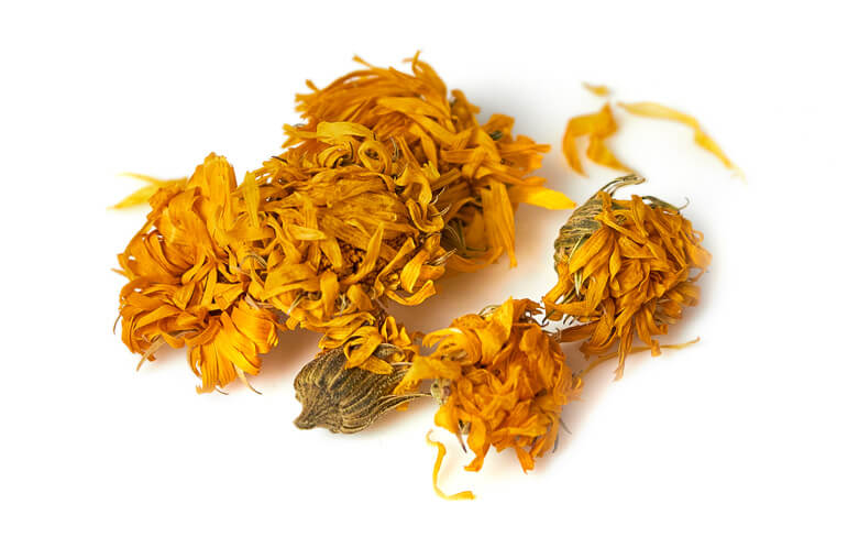 Wholesale of Calendula flowers from the manufacturer at optimal prices - photo
