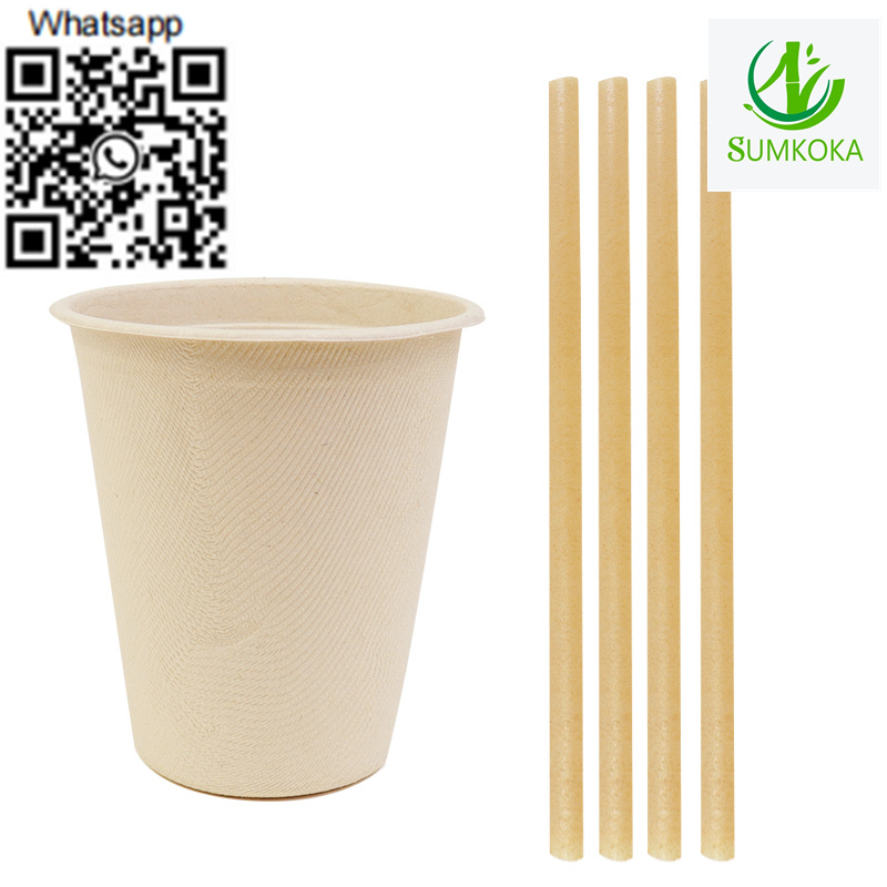 Paper straw biodegrad straw drinking straws bio straw straw set straw disposal - photo