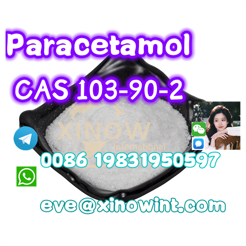 Paracetamol Powder CAS 103-90-2 - photo
