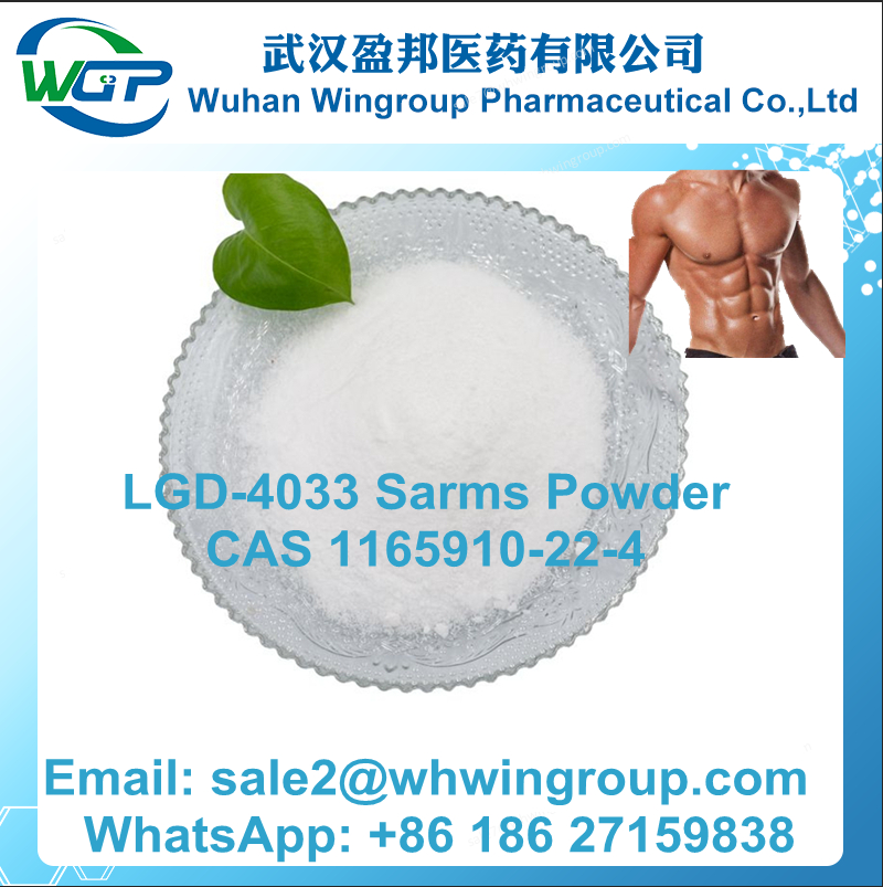 Buy Sarms Powder Steriod Powder Bodybuilding Muscle Growth with Good Price - photo
