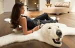 Ghmngmfgghh Beautiful Polar Bear Rug - Sell advertisement in Florence