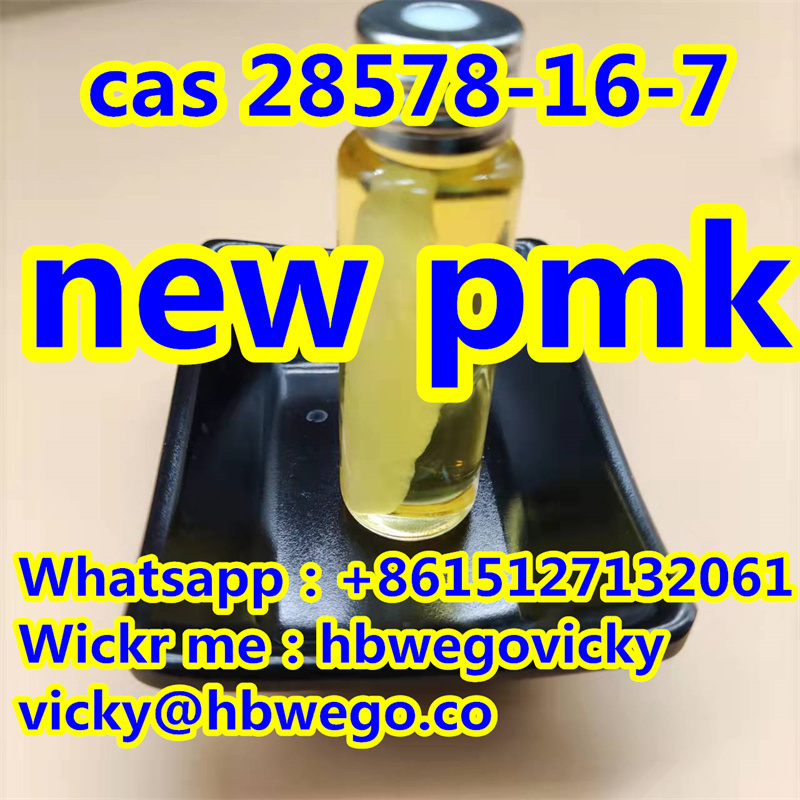 New PM 3,4-MDP-2P Ethyl Ester Powder CAS 28578-16-7  - photo