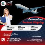 Charter Air Ambulance Services in Indore is Available with ICU by King  - Services advertisement in Mannheim