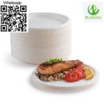 Plate disposable plate round plate bagasse plate - Sell advertisement in Usak
