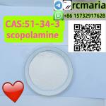 strong Scopolamine  CAS 51-34-3  Wickr /Telegram : rcmaria - Sell advertisement in Rome