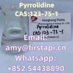 CAS No.:	123-75-1,Whatsapp:+852 54438890,Chemical Name:	Pyrrolidine, - Sell advertisement in Patras