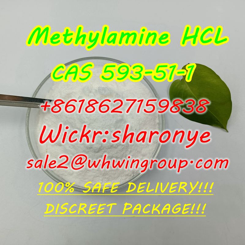 +8618627159838 Methylamine Hydrochloride CAS 593-51-1 with Stable Supply - photo