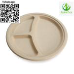 Plate dinner plate disposable plate sugarcane plate - Sell advertisement in Usak