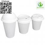 Cup disposable cup bagasse cup coffee cup - Sell advertisement in Usak