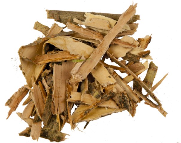 Wholesale of White willow from the manufacturer at optimal prices - photo