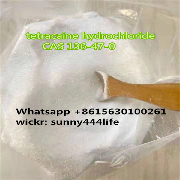 Tetracaine hydrochloride CAS 136-47-0 crystal powder chemical  - photo